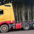 VOLVO FH500 GLOBE TROTTER