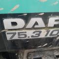 DAF 75.310